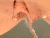 Blonde covered in hot urine