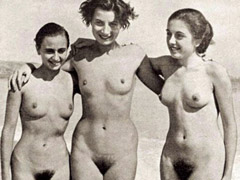 Several sexy fifties ladies sucking some big erected dick