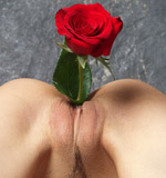 Morey studio bondage