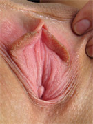 Showing her pussy