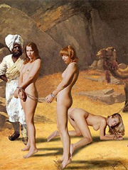 Dofantasy fansadox collection