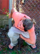 Voyeur clips of pretty girls piddling behind a garage